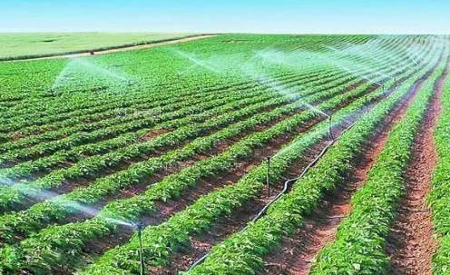 被大几把暴操h在线观看农田高 效节水灌溉
